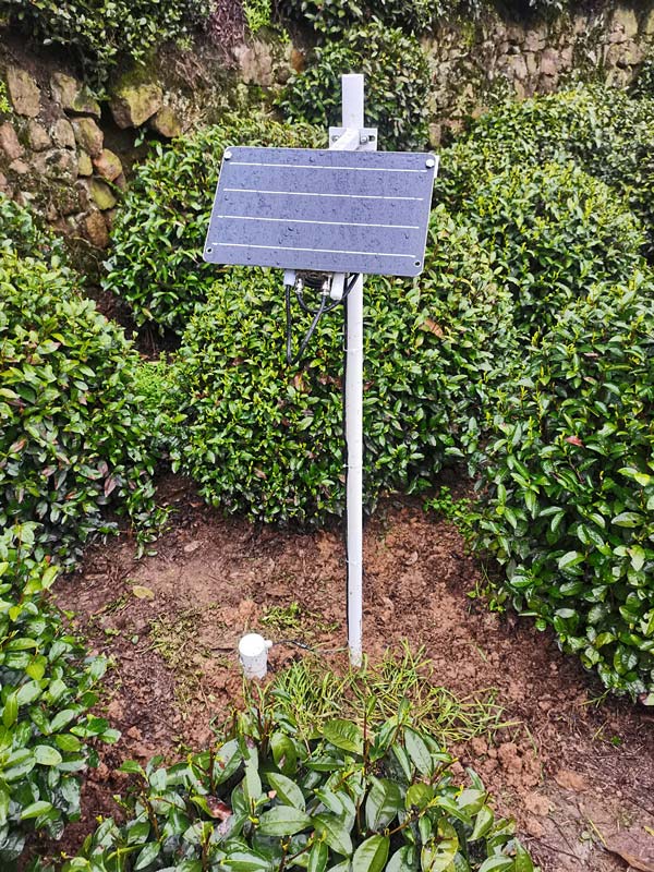 Hangzhou Xihu Longjiang Village Tea Plantation Purchases Windway Technology Soil Moisture Monitoring Station