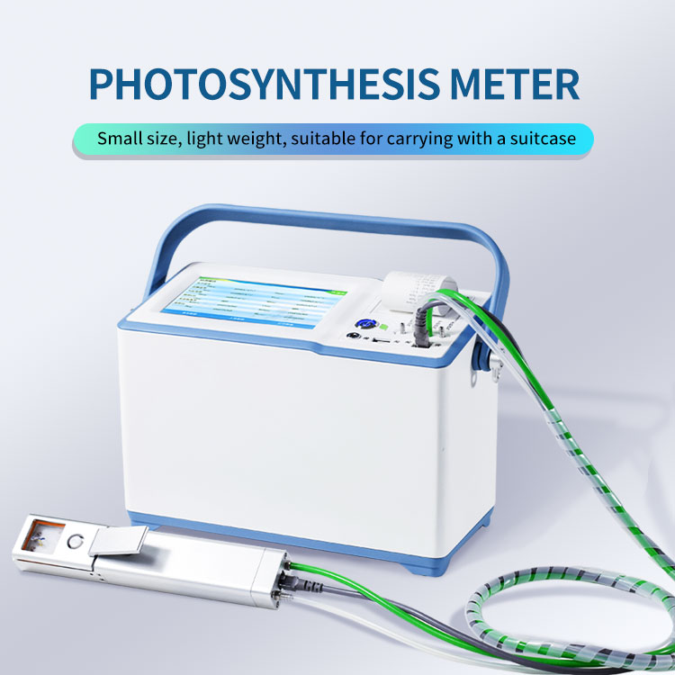 Photosynthesis Analyzer