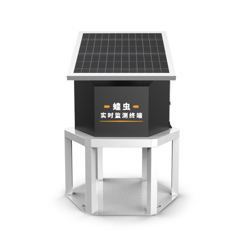 Locust online monitoring station