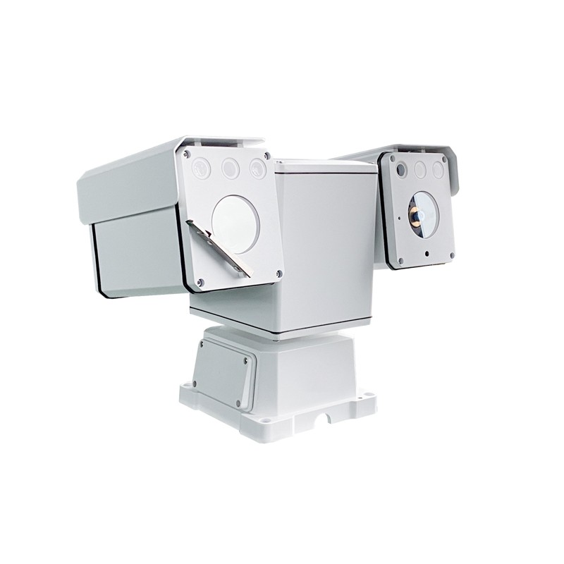 Bird Identification and Monitoring System